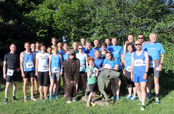 Wildsaulauf 2017
